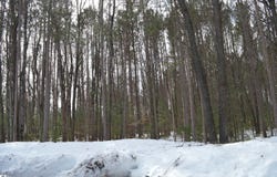 773 GOLF SIDE DRIVE, KALKASKA, MI 49646