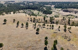 Gruenhagen Rd, Pine Haven, WY 82721