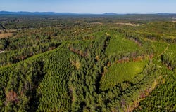 33 County Road 101, Centre, AL 35960