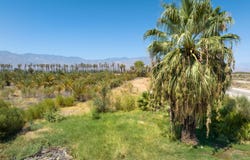 Ave 68, Mecca, CA 92254