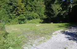 Shaft Hollow Rd, WAR, WV 24892