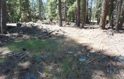 1 Papoose Trail, Graeagle, CA 96103