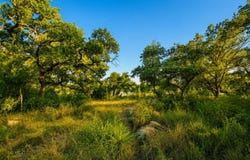 CR 104, Llano, TX 78643-0000