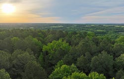 Jason Lane, Greenbrier, AR 72058