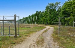 N4085 Cranberry Rd, Warrens, WI 54666