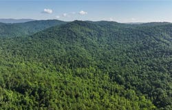 Boone Trail, Purlear, NC 28665