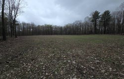 1wp Tennent Rd, Windsor, NY 13865