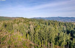 Holly - Lot 2, CottageGrove, OR 97424