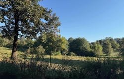 Polk Road 19, Cove, AR 71937