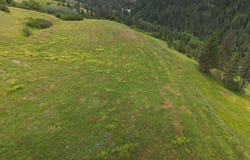 American Ridge Rd (Parcel 7), Kendrick, ID 83537