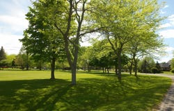 N Sunningdale Street, Saginaw, MI 48604