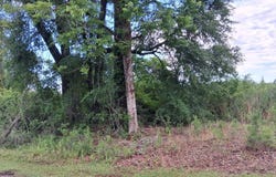 COUNTY ROAD 35, Evergreen, AL 36401