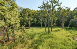 1087 CR 318, San Augustine, TX 75925