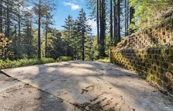 315 Alder RD, BOULDER CREEK, CA 95006