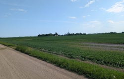 60713 150th St, Chokio, MN 56221