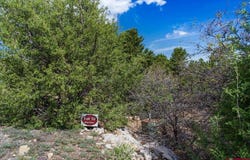 Pine Drive lot: 10, Ridgway, CO 81432
