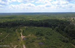 196 S County Line Road, Lumberton, MS 39455