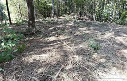 Ridge Run Road, Boomer, NC 28606