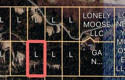 Lone Moose Dr lot: 11, Plummer, ID 83851