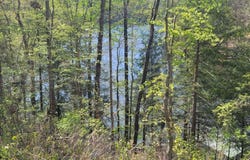 458 CO RD 4036, Arley, AL 35541