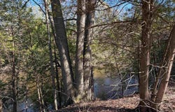 S Loomis Road, Mt Pleasant, MI 48858
