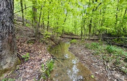 100A Open Fork Road, Morehead, KY 40351