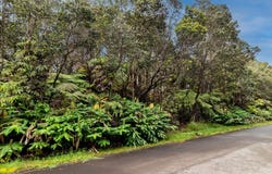 7TH ST, Volcano, HI 96785