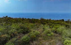 MAUNALOA AVE, Captain Cook, HI 96704