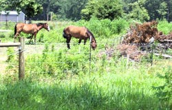 138 Little River 183, Ashdown, AR 71822