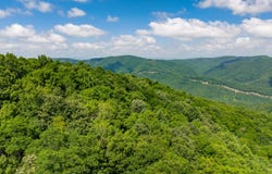 Kates Mountain Rd, Caldwell, WV 24925