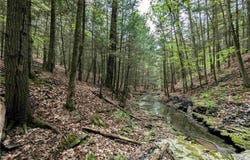 Stewart Road, Addison, NY 14801