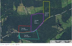 Tract 3 BCR 930, Patton, MO 63662