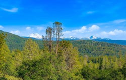 30763 Leyolyn Lane, Whitmore, CA 96096