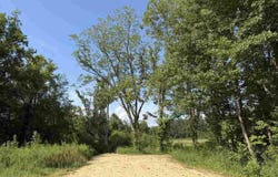 Stoney Court, Dillon, SC 29536
