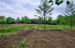 13196 County Line Road, Crown Point, IN 46307