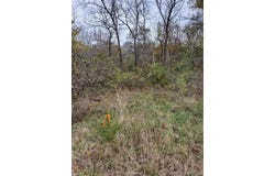E State Route 2 Highway, Cleveland, MO 64734