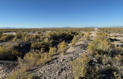 6000 N 10000 W, Delta, UT 84624