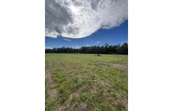18 Blackbird Ln, Petal, MS 39465
