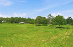 1262 Panhandle Road, DeQuincy, LA 70663