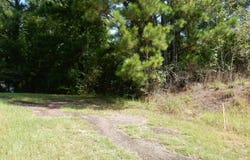 Parcel 1 Whitaker Road, Roberta, GA 31078
