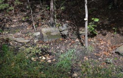 Cozahome RD, Harriet, AR 72639