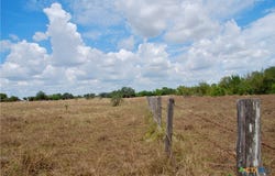 Tract 2 County Road 366, Shiner, TX 77984