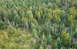 Oro Rd, Powers, MI 49886