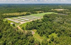 6080 CR 203, San Augustine, TX 75972
