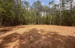 Old Lula Road, Reagan, TN 38368