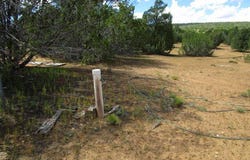 65 Co Rd 8021, Concho, AZ 85924