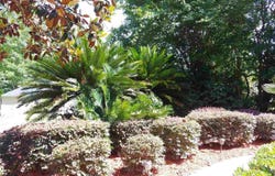 5655 Sioux Drive, Tallahassee, FL 32317