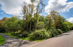 TIMBER RIDGE Road, MC HENRY, MD 21541