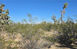 327-03-461 S Quail Drive, Dolan Springs, AZ 86441