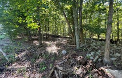 Co Rte 48, Thompson Ridge, NY 10985